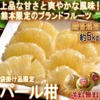 パール柑 大橘 約5kg 熊本県産 贈答規格 袋掛け品 個人農家産 ギフトにも人気のブランドフルーツ!爽やかな風味と上品な甘さの特産品 文旦の派生品種 ピール用