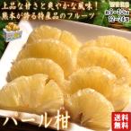 ショッピング文旦 パール柑 大橘 約9〜10kg 熊本県産 贈答規格 個人農家産 ギフトにも人気のブランドフルーツ！爽やかな風味と上品な甘さの特産品 文旦の派生品種 ピール用