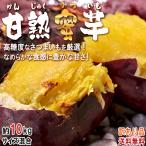さつまいも 甘熟蜜いも シルクスイート 紅はるか等 10kg サイズ混合 千葉県・茨城県産 訳あり品 大容量 溢れる甘さの蜜芋！旬の品種をお届け