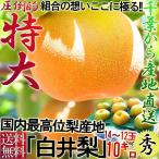 白井梨 幸水・豊水・秋月・新高 約10kg 14〜28玉 千葉県産 秀品 大玉限定 贈答規格 豊富な果汁とみずみずしい甘さ!産地で収穫した鮮度抜群のナシをお届け