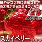 スカイベリー 大粒いちご 約600g 栃木県産 贈答品 JA共撰品 ジューシーな果肉に濃厚な味の苺!ギフト最適な栃木で生まれた新品種