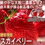 スカイベリー 大粒いちご 約600g 栃木県産 贈答品 JA共撰品 ジューシーな果肉に濃厚な味の苺！ギフト最適な栃木で生まれた新品種