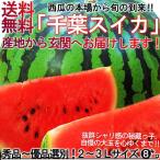 厳選大玉スイカ 約7〜9kg 1玉 2L〜3Lサイズ 贈答規格 千葉県産 大玉〜特大サイズ 優品〜秀品 国内屈指の産地が誇る旬の味! 割れて届いた時の返品交換対応有り