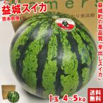 益城スイカ 約4〜5kg 1玉入り 熊本県産 贈答規格 寒暖差を利用した糖度の高いスイカ 温室ハウス栽培