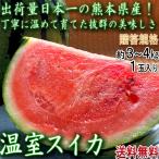 温室スイカ 赤肉西瓜 約3〜4kg 1玉 熊本県産 贈答規格 生産量日本一の大産地、熊本で育てた抜群の味!甘さと食感の美味しいギフトすいか