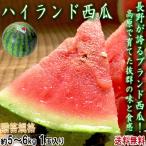 ハイランドすいか 赤肉スイカ 約5〜6kg 1玉 長野県産 贈答規格 JA松本共撰 高原で育てた高い糖度と抜群のシャリ感!