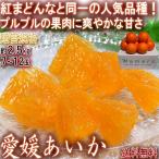 愛媛あいか 約2.5kg 7〜12玉入り 愛媛県産 贈答規格 個人農家産 紅まどんなと同一品種!プルプルの果肉に豊かな甘み