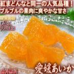 愛媛あいか 約5kg 14〜24玉入り 愛媛県産 贈答規格 個人農家産 紅まどんなと同一品種！プルプルの果肉に豊かな甘み　愛果28号