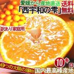 産地直送 西宇和の雫 温州みかん 約10kg ２S〜２Lサイズ混合 愛媛県産 訳あり品 個人農家産 本場で育てた家庭用蜜柑！こだわりのマルチシート栽培