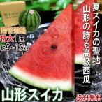 山形スイカ 特大サイズ 約9〜12kg超 1玉入り 贈答規格 山形県産 JA共撰品中心 西瓜の出荷量全国3位の大産地!夏すいかの聖地が誇る抜群の味