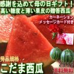 2025 母の日ギフト 小玉 スイカ 2玉 産地厳選 贈答規格 化粧箱入り 旬の産地で育てた味わい抜群のギフト西瓜! カーネーション・カード同梱