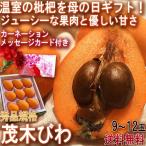 母の日ギフト 茂木枇杷 温室びわ 9〜12玉入り 長崎県産 贈答品 果汁溢れる新鮮なフルーツ！メッセージカード・カーネーション同梱