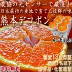 デコポン みかん 熊本県産 4〜6玉  しらぬひ 贈答規格 化粧箱入り JAくまもと 光センサー選果 糖度13度以上限定 糖度保証 栽培適地で育てた本場の美味しさ