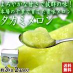 タカミメロン 青肉メロン 約3kg 2玉 千葉県産 濃厚な甘さと爽やかな風味！旬の味わいをお届け