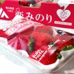 .. клей крупный клубника примерно 260g×2 упаковка 3L размер центр Kumamoto префектура производство .. стандарт подарок . рекомендация. новый товар вид клубника!