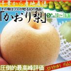 かおり梨 約5kg 10〜16玉 中玉サイズ 秀品〜優品 千葉県産 贈答可能 生産量の少ない幻の梨!爽やかな甘い香りと優秀な味わい