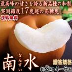 南水梨 なんすい 2kg 5〜7前後 秀品〜特秀品 長野県産 贈答可能 JA長野の光センサー選果で抜群の甘さ！実測糖度17度の確かな味わい