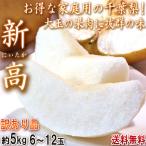 新高 特大梨 約5kg 6〜12玉 千葉県産 訳あり品 大玉の果実にジューシーな果肉！お得な家庭用のちば和梨