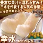 【お盆前の早期出荷！】幸水 和梨 