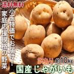じゃがいも 千葉県産中心 国産 小玉特価 約10kg 2S〜Mサイズ 訳あり 日本全国より旬のジャガイモをお届け！ 産地厳選
