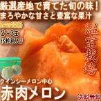  красный мясо дыня 2~3 шар Ibaraki префектура центр .. стандарт производство земля тщательно отобранный теплица культивирование Queen si-*ru Piaa красный * Lennon * Мали a-ju и т.п. вежливо .... выдающийся прекрасный тест ..!