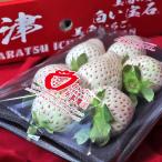  белый драгоценнный камень белый клубника примерно 200g×2 упаковка Saga префектура производство .. стандарт рука остров сельское хозяйство . товарный знак регистрация бренд. подарок .! превосходный способ тест . полный - чай .... клубника . покупка 