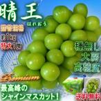 晴王 はれおう シャインマスカット 白葡萄 岡山県産 贈答規格・化粧箱入り JA全農おかやま 皮ごと食べる濃厚な甘さ!特産品の種無し白ぶどう
