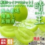 ... ... тщательно отобранный автомобиль in мускат вид нет белый виноград примерно 800g~1kg 1. Okayama префектура производство .. стандарт кожа .. еда ... толщина .... специальный продукт фрукты!