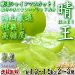 晴王 約1.2〜1.5kg 2〜3房 葡萄 はれおう 厳選シャインマスカット 種無し白ぶどう 岡山県産 贈答規格 皮ごと食べる濃厚な甘さの特産品フルーツ!