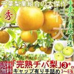 プレミアム 完熟梨 千葉県産 約3kg 3〜6玉 手詰め 贈答規格 幸水・豊水・秋月・新高・かおり 日本一のナシ出荷量を誇る千葉県内より産地厳選!
