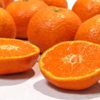 八幡浜みかん 温州蜜柑 約4kg M〜2Lサイズ 愛媛県産 JAにしうわ 地域ブランドの西宇和ミカン！本場で育てたまろやかな甘さ