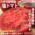 塩トマト 高糖度フルーツトマト 熊本県産 秀品 10〜16玉入り 約1.4kg 贈答規格 トマトの生産量日本一の熊本県特産トマト！