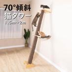 キャットタワー 木製 つっぱり 木登り おしゃれ 爪とぎ 運動不足 安定 頑丈 爪とぎ 爪研ぎ 多頭飼い 省スペース ハンモックつき 傾斜 斜め 登り