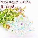  домашнее животное лотос. цветок crystal произведение искусства стекло симпатичный 