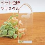  домашнее животное мемориальная табличка Silhouette также можно выбрать crystal мемориальная табличка memorial собака кошка ... хомяк симпатичный модный 