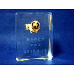  домашнее животное предметы для домашнего буддийского алтаря memorial домашнее животное мемориальная табличка фотография . входить . crystal мемориальная табличка 