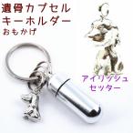 .. Capsule брелок для ключа Irish setter печать название inserting домашнее животное предметы для домашнего буддийского алтаря memorial товары домашнее животное Roth 