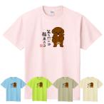 犬柄Ｔシャツトイプードル柄F柄カラ...