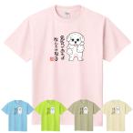 犬柄Ｔシャツトイプードル柄A柄カラ...