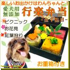 犬用の行楽弁当 ごはん ちらし寿司 豪華 重箱付き7品目 お花見や旅行やお出かけのおともに 無添加のペット用品で健康な食事を