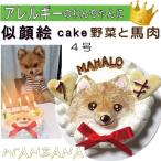 ショッピングケーキ 犬用 似顔絵 ケーキ 立体に 1頭描きで野菜と馬肉生地4号12cmサイズ お誕生日にでSNS映え イベントやバースデー 無添加のペット用品で健康な食事を