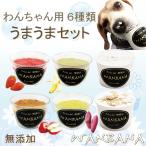 犬用のアイス＆シャーベットひんやりうまうまセット6種類 熱中症や食欲不振にも 夏バテ対策 夏 ギフト お中元 人気 国産無添加で安心！創業20年老舗ワンバナ