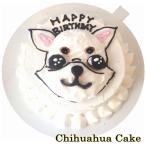 犬用のお誕生日ミニチワワ馬肉生地3号10cmサイズ イベントや小さなバースデーでSNS映え 国産 無添加のペット用品で健康な食事を