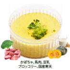 犬用のおやつデザートかぼちゃプリン...