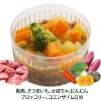 猫用のキャットフード 手作りごはん 無添加馬肉のポトフ コエンザイムＱ１０入り シニア 美味しいごはんに ペット用品で健康な食事を ワンバナ