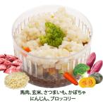 猫用のキャットフード トッピング 手作り 玄米リゾット 食物繊維 ビタミン 無添加のペット用品で健康な食事を