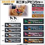  миниатюра булавка автомобиль - оригинал этикетка [1 листов размер S размер ][ Julius K9] IDC энергия Harness для оригинал липучка этикетка беж скалярный :4 цвет [ кошка pohs ]