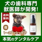 ショッピング歯磨き粉 犬猫の歯石口臭対策 歯磨き粉 5000頭以上の犬の歯磨き 歯石除去 歯石取りを行ってきた獣医師が開発 Dr.YUJIRO デンタルジェル（夜用）※ 約3カ月分