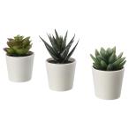 【IKEA】FEJKA フェイカ 人工観葉植物 鉢カバー付き, 室内/屋外用 多肉植物, 6 cm 3 ピース