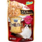  Gin no Spoon три tsu звезда гурман pauchi... покрой ...* и .. хочет ..35g×16ko